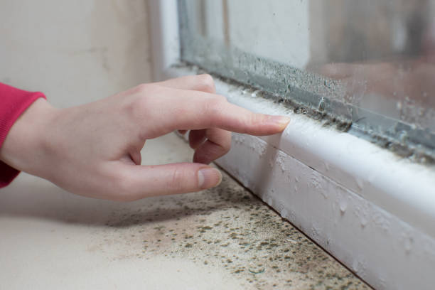 Best Indoor Air Quality Assessment  in Gosnell, AR