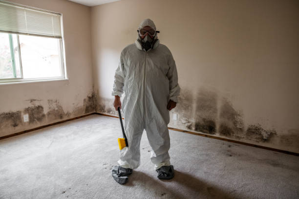 Best Mold Odor Removal Services  in Gosnell, AR