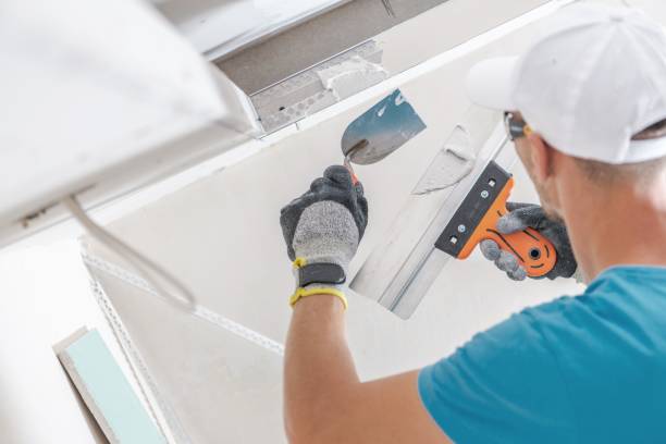 Best Mold Damage Restoration  in Gosnell, AR